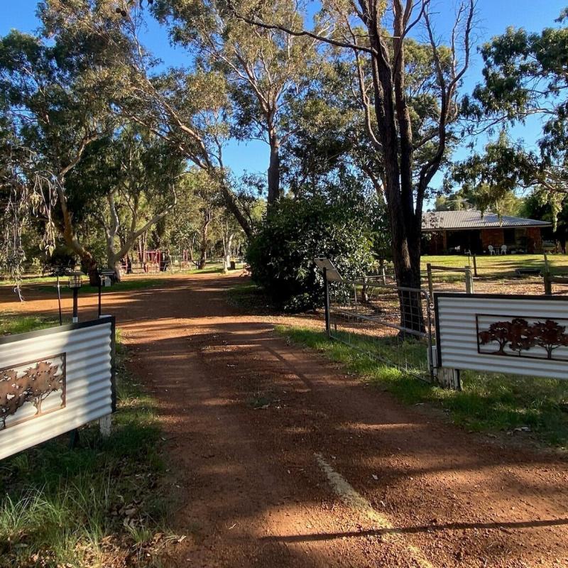 Jenny from Byford, WA loves Roofing, Fencing, Patio & Pergola made from COLORBOND® steel in colour Dune®