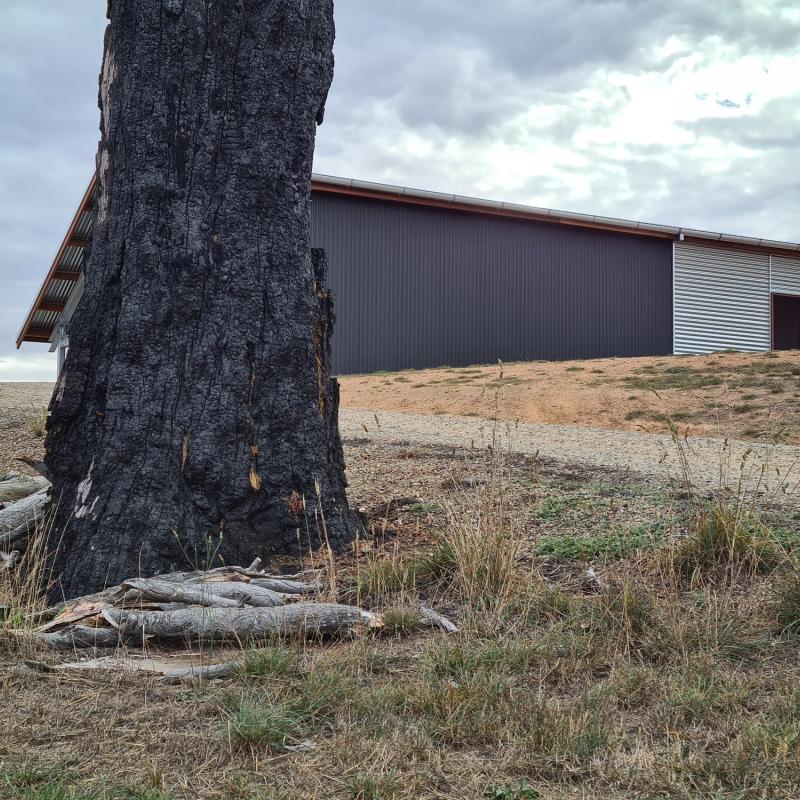 Donna from Lobethal, SA loves COLORBOND® steel. Walling made from COLORBOND® steel in colour Monument® Matt Finish