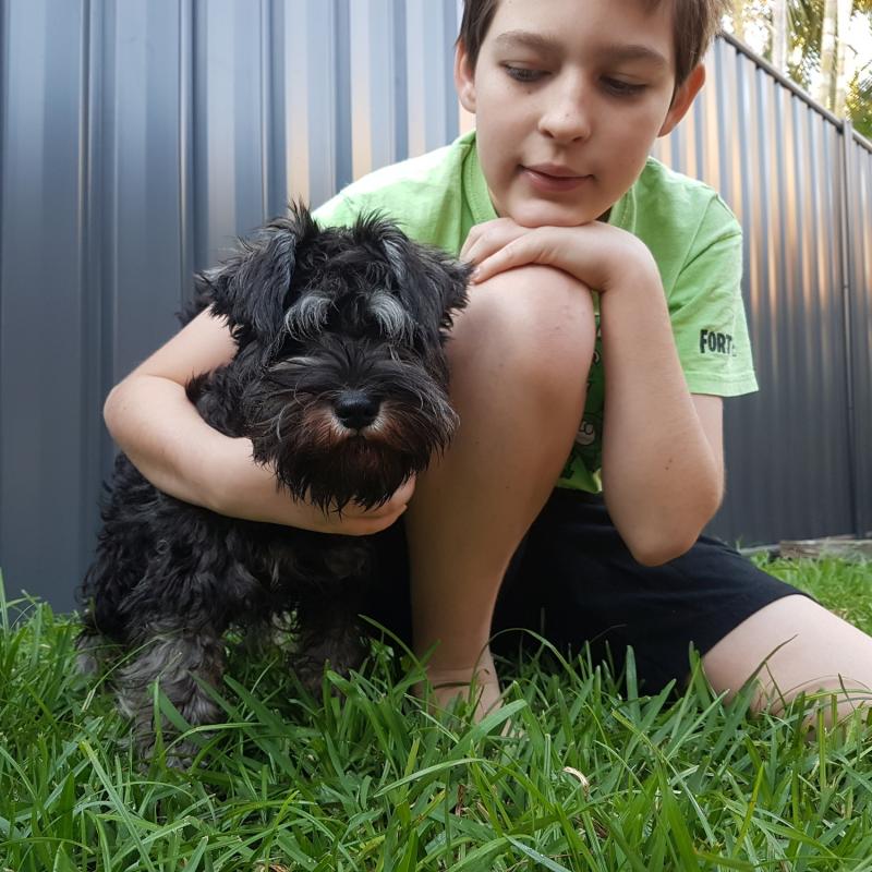 Samantha from Albany Creek, QLD loves COLORBOND® steel. Fencing made from COLORBOND® steel in the colour Monument®