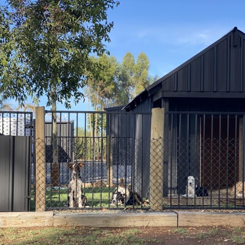 Melissa from Mildura, VIC loves COLORBOND® steel. Guttering & Fascia, Walling, Fencing made from COLORBOND® steel in colours Monument® and Monument® Matt