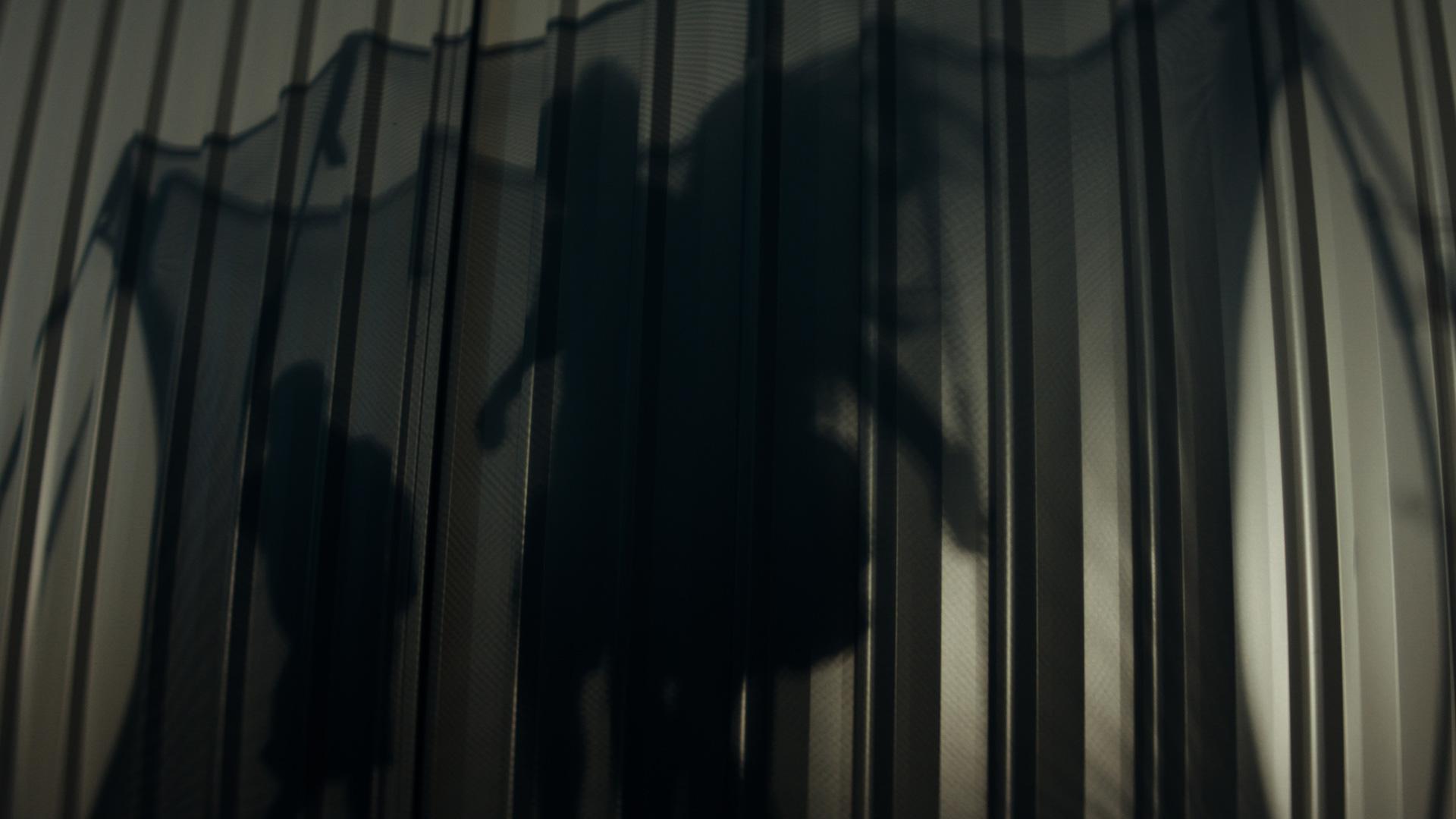 Fencing made from COLORBOND steel® in Shale Grey™.